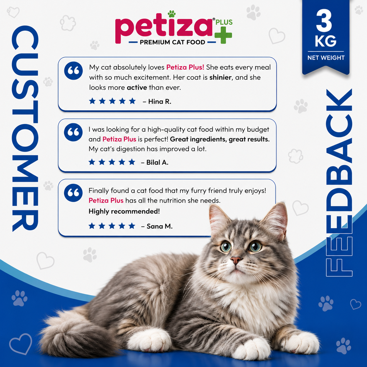 Petiza Plus Premium Cat Food Fish Flavor 3kg Bucket My Store